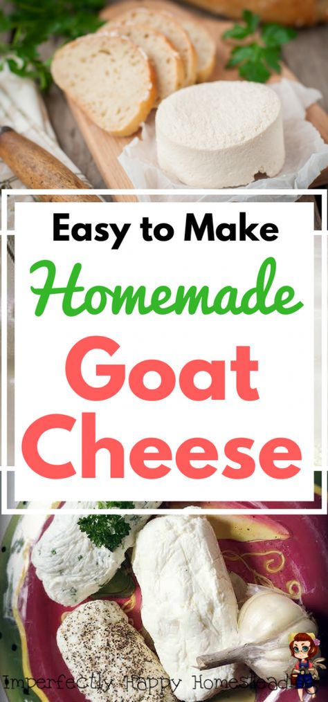 How To Make Goat Cheese, Homemade Goat Cheese, Chevre Cheese, Cheese Recipes Homemade, Cheese Making Recipes, Goat Milk Recipes, Goat Recipes, Spreadable Cheese, Goat Cheese Recipes