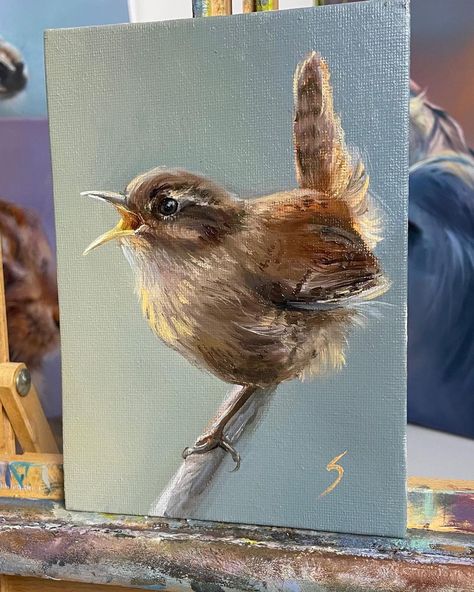 Bird Watercolor Art, Wren Bird, Bird Painting Acrylic, Bird Paintings On Canvas, Pet Portrait Paintings, Iris Painting, Bird Watercolor Paintings, Nature Watercolor, Acrylic Painting Flowers