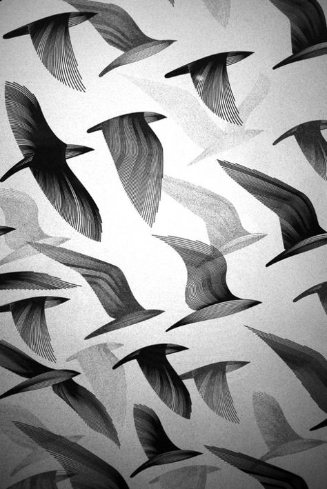 Graphisches Design, Space Gallery, Art Et Illustration, Art And Illustration, Bird Prints, Bird Art, Textures Patterns, Surface Design, The Sky