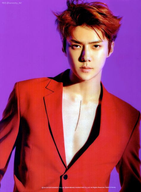 [Scan] EXO Sehun Love Shot Postcard Love Shot, Exo Music, Exo Album, Kim Junmyeon, Exo Sehun, Oh Sehun, Byun Baekhyun, Chinese Boy, Red Aesthetic