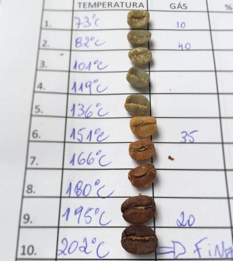 Barista Daily on Instagram: “Bean development stages by degree in a roaster! TAG a Friend Below! 📷by @cafeaoleu” Coffee Chart, Coffee Bean Roasters, Roasting Coffee, Types Of Coffee Beans, Coffee Brewing Methods, Coffee Infographic, Types Of Coffee, Coffee Shop Business, Coffee Facts