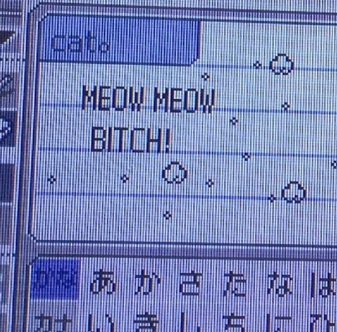 Webcore Text, Lovecore Webcore, Webcore Header, 블로그 배경, Webcore Aesthetic, Cybercore Aesthetic, Meow Meow, Cute Texts, Bastille