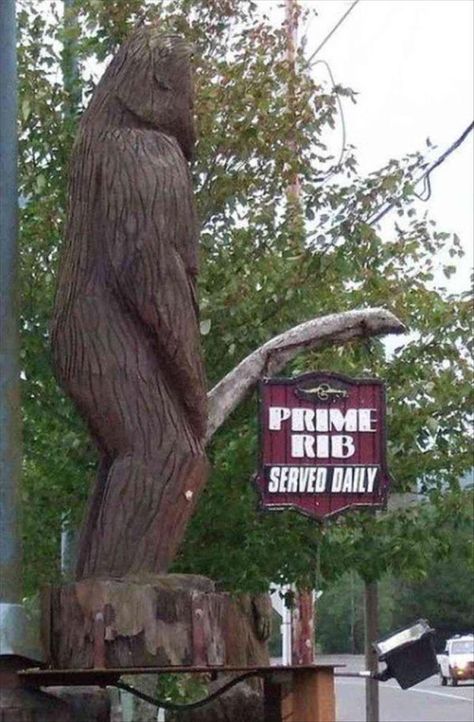 38 Dirty Picts For The Filthy Mind - Funny Gallery Sasquatch Funny, Bigfoot Pictures, Geek Poster, Bigfoot Art, Finding Bigfoot, Bigfoot Sightings, Bigfoot Humor, Best Funny Photos, Funny Items