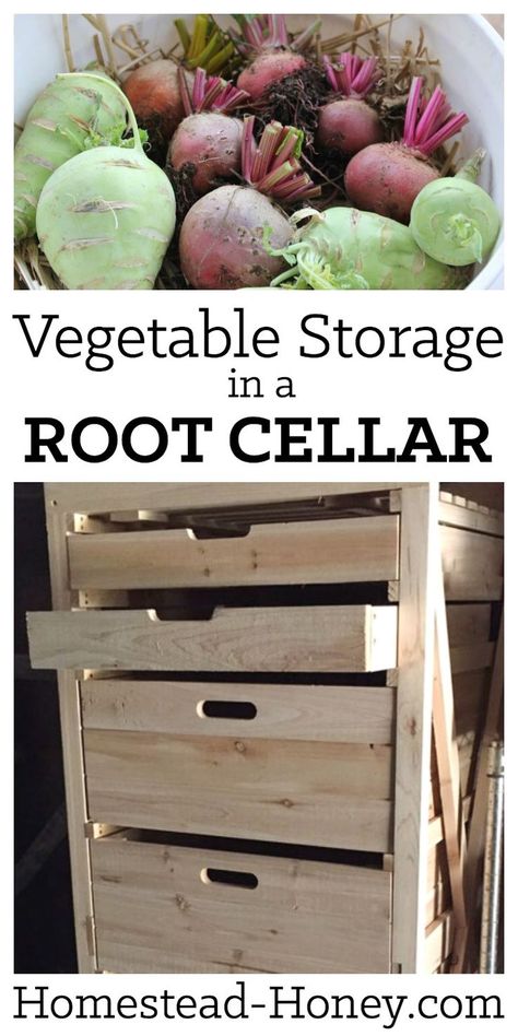 Looking for vegetable storage ideas for your homestead root cellar? Check out my favorite ways to store vegetables for winter eating. | Homestead Honey Vegetable Storage Ideas, Root Cellar Storage, Outdoor Storage Ideas, Store Vegetables, Winter Vegetables Gardening, Storing Vegetables, Root Cellar, Homesteading Skills, Vegetable Storage