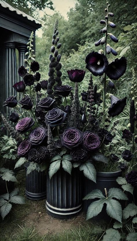 15+ Mystical Witchy Garden Ideas for a Magical Retreat 40 Black Flowers Garden, Gothic Backyard Ideas, Goth Garden Aesthetic, Goth Garden Ideas, Gothic Garden Ideas, Black Garden Ideas, Witchy Flowers, Witchy Backyard, Gothic Greenhouse