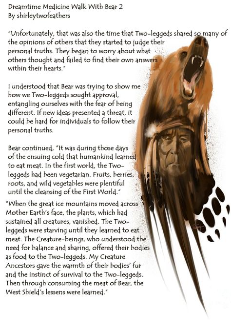 Bear Medicine, Cardinal Directions, Personal Truth, Four Directions, Power Animal, Medicine Wheel, Greatest Mysteries, Wheel Of Life, Spiritual Journey