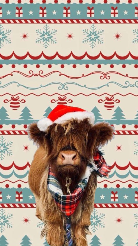 Christmas highland cow wallpaper Cute Christmas Animal Wallpaper, Christmas Highland Cow Wallpaper, Cowboy Christmas Wallpaper Iphone, Highland Cow Christmas Wallpaper, Christmas Country Wallpaper, Western Christmas Wallpaper Iphone, Christmas Wallpaper Western, Cow Christmas Wallpaper, Christmas Western Wallpaper