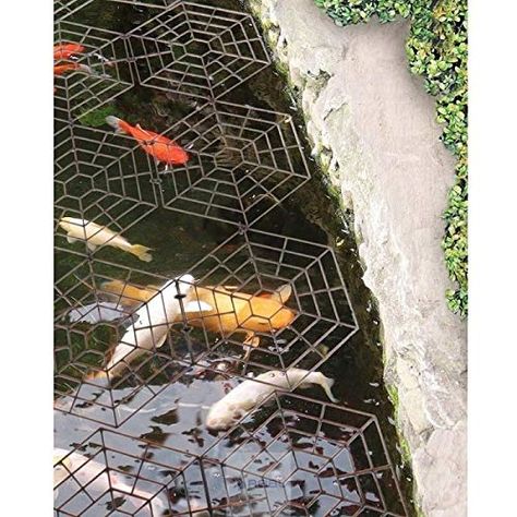 Pond Covers, Pond Netting, Water Gardens Pond, Pond Fish, Floating Garden, Pond Waterfall, Pond Liner, Pond Water Features, Pond Fountains