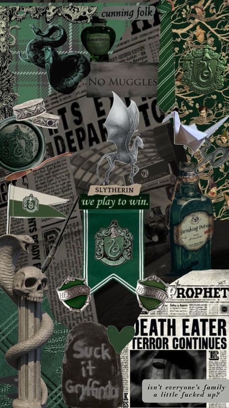 Aesthetic Graphics, Draco Malfoy Aesthetic, Bedroom Wall Collage, Harry James, Harry James Potter, Slytherin Aesthetic, James Potter, Paint Party, Dark Aesthetic