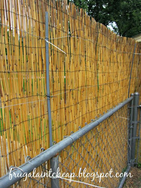 Chain Link Fence Cover, Chain Link Fence Privacy, Bamboo Privacy Fence, Chain Fence, Pipe Fence, Bamboo Fencing, Dog Backyard, Bamboo Privacy, Privacy Fence Designs