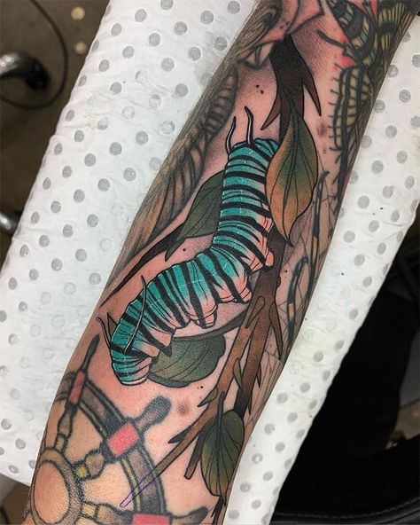 Nature Tattoos Neo Traditional, Caterpillar Tattoos, Caterpillar Tattoo, Wasp Tattoo, Nature Tattoo Ideas, Hp Tattoo, Cool Nature, Nature Tattoo Sleeve, Tattoo Apprenticeship