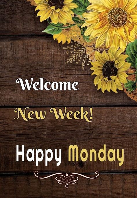 Monday Morning Images, Monday Morning Greetings, Happy Monday Images, Good Morning Monday Images, Happy Monday Quotes, Happy Monday Morning, Monday Images, Monday Morning Quotes, Good Monday Morning