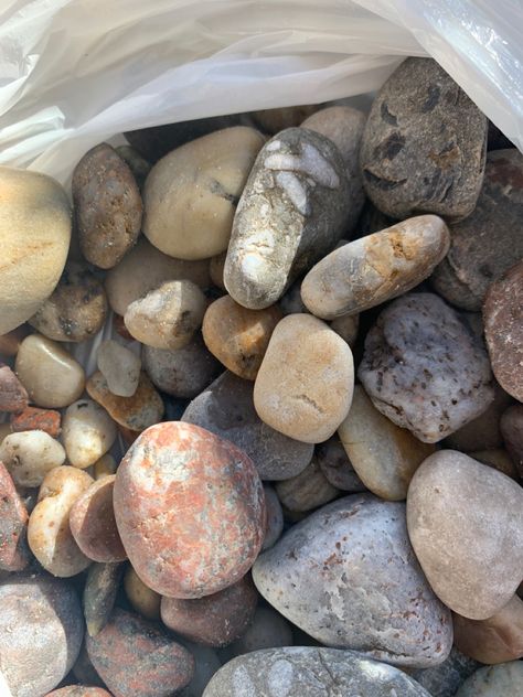 Rock hunting Rock Hunting Aesthetic, Rock Collection Aesthetic, Missing Childhood, Rocks Aesthetic, Rocks Collection, Kids Hunting, Lake Vibes, Rock Aesthetic, Rock Hunting