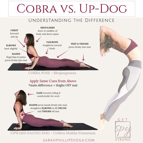 Hata Yoga, Upward Dog, Yoga Teacher Resources, Basic Yoga Poses, Yoga Beginners, Yoga Techniques, Dog Yoga, Yoga Posen, Basic Yoga