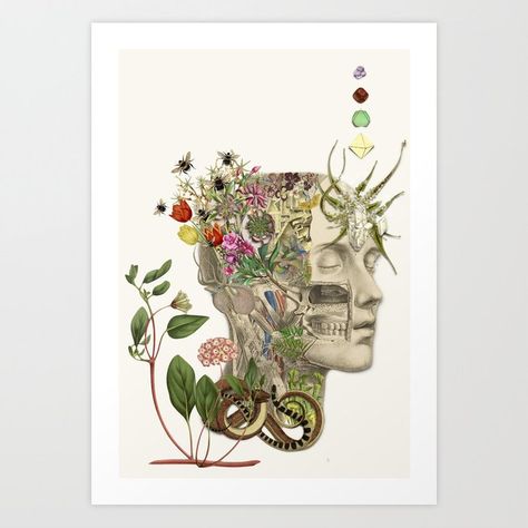 Bedelgeuse Art, Botanical Anatomy, Science Pictures, Flower Anatomy, Anatomical Art, Skeleton Sticker, Brain Art, Human Anatomy Art, Medical Art