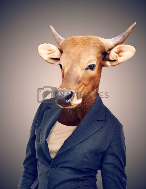 Conceptual Image, Corel Draw Design, Cash Cow, Studio Portrait, A Cow, Yay Images, Animal Heads, Business People, Free Stock Photos Image