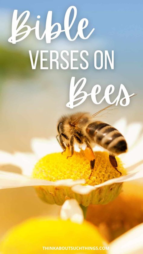 In this article, we will explore some interesting Bible verses about bees, wasps, and hornets. So, grab your Bible, and let's get started... This past week we have been exploring bees in God's Word. And Bible Verse About Bees, Bee Bible Verse, Busy Bee Quotes, Honey Bee Quotes, Wasps And Hornets, Awana Ideas, Ruth 2, Ministry Leadership, Honeybee Art