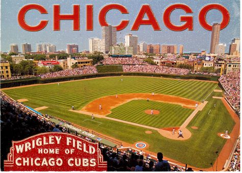 Postcrossing US-3053566 - Postcard of Wrigley Field in Chicago, where the Chicago Cubs have played baseball for many years.  Sent by Postcrosser in the United States. Greetings From Chicago, Greetings From Chicago Postcard, Chicago Wrigley Field, Field Illustration, The Field Museum Chicago, Chicago Postcard, Wrigley Building Chicago, Wrigley Field, Play Baseball