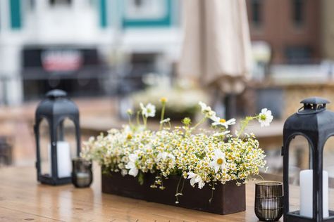 Feverfew chamomile and white cosmo daisy centerpiece - rust planter, black duomo lanterns Daisy Wedding Centerpieces, Daisies Wedding, Daisy Centerpieces, Rustic Rehearsal Dinners, Metal Table Decor, Wildflower Centerpieces, Industrial Wedding Decor, White Cosmo, White Lanterns