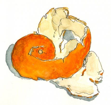 orange peel Orange Peel Drawing, Orange Peel Art, Orange Peel Tattoo, Oranges Sketch, Oranges Drawing, Tangerine Tattoo, Orange Drawings, Orange Fruit Art, Orange Sketch