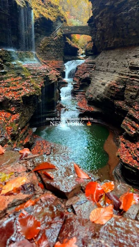 Watkins Glen New York, Watkins Glen State Park, New York Graffiti, New York Style Pizza, The Finger Lakes, Moss Covered, York Travel, York Aesthetic, Autumn In New York