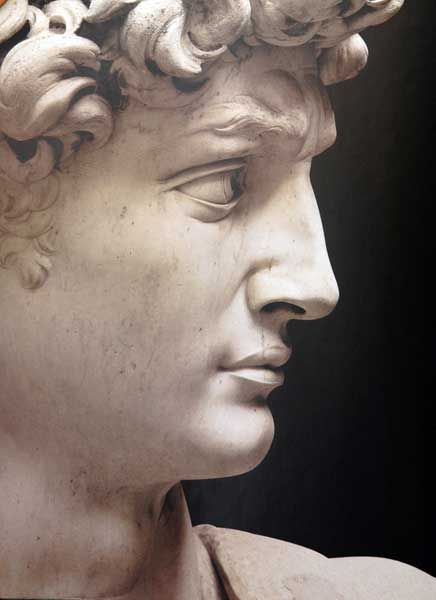 Detail of Michelangelo’s David, sculpted between 1501-1504. Marble. Located in the Galleria dell'Accademia, Florence, Italy. Photo found on Pinterest, but ultimate source unknown. Michelangelo Sculpture, David Michelangelo, David Sculpture, Statue Of David, David Statue, Istoria Artei, Classic Sculpture, Greek Statues, Roman Sculpture