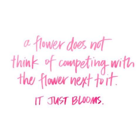 Flowers Dont Compete Quote, A Flower Does Not Think Of Competing, Flower Power Quotes, Quotes About Flowers, Bloom Quotes, Flower Quote, Flowers Quotes, Selfie Quotes, Growth Mindset Quotes