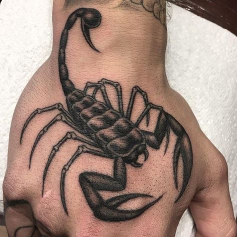 Scorpion Hand Tattoo, Arm Tattoos For Guys Forearm, Medieval Tattoo, Tattoo Practice, Scorpio Tattoo, Cool Arm Tattoos, Scorpion Tattoo, Hand Tattoos For Guys, Arm Tattoos