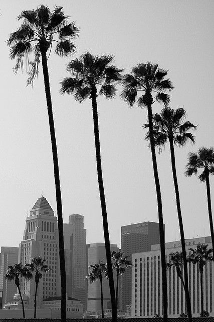 Los Angeles, CA #LA #blackandwhite #palmtrees California English, City Landscapes, Tattoo Reference, California History, Los Angles, Vintage Los Angeles, Los Angeles Usa, City Landscape, Blue Sweater