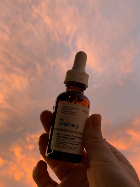 Ordinary Rosehip Oil, The Ordinary Rosehip Oil, Oil Aesthetic, Rosehip Oil, Seed Oil, The Ordinary, Shampoo Bottle, Serum, Personal Care