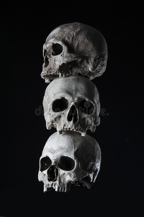 Skulls Stacked Drawing, Stacked Skulls Drawing, Black And White Skull Photography, Skull Looking Up, Skull Photography Reference, Skull Reference Photo, Skulls Photography, Human Skull Photography, Human Skull Reference