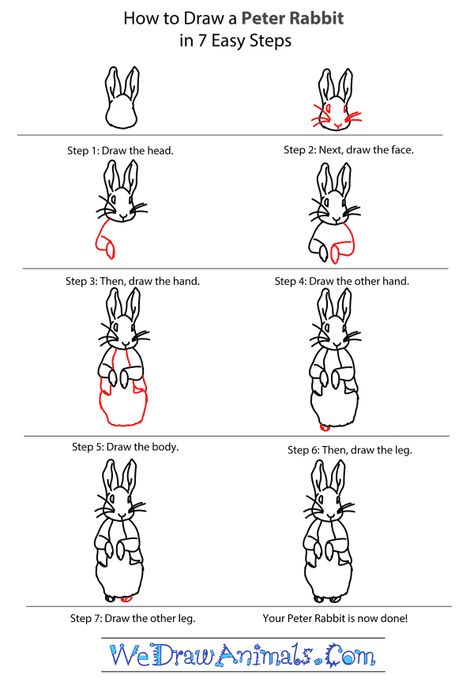 How To Draw Peter Rabbit Step By Step, Beatrix Potter Art Lessons, How To Draw Peter Rabbit, Peter Rabbit Sketch, Peter Rabbit Cartoon, Peter Rabbit Drawing Easy, Peter Rabbit Drawing, Easter Rabbit Drawing, Peter Rabbit Painting