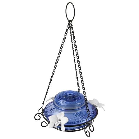 Style Selections Antique Top Fill Blue Glass Hanging Hummingbird Feeder in the Bird Feeders department at Lowes.com Glass Hummingbird Feeders, Glass Hummingbird, Hummingbird Feeder, Humming Bird Feeders, Pet Bird, Power Led, Glass Texture, Hummingbirds, Flat Surface