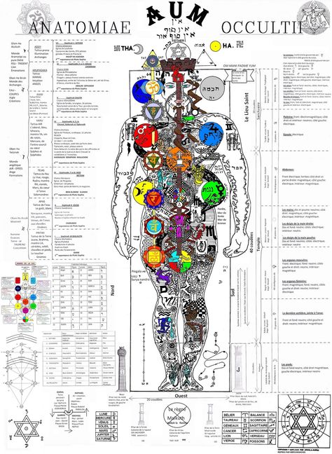 Occult Anatomy, Adam Kadmon, Sacred Geometry Meanings, Secret Energy, Esoteric Symbols, Sacred Science, Human Body Anatomy, Sacred Geometric, Alchemy Symbols