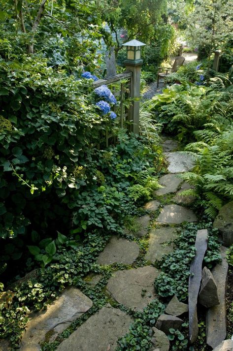 Stone Pathways, Rock Path, Narrow Garden, Stone Pathway, Garden Walkway, Stone Path, Most Beautiful Gardens, Side Garden, Woodland Garden