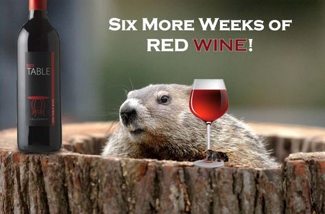 groundhog day! six more weeks of red wine! Get Rid Of Groundhogs, Getting Rid Of Skunks, Punxsutawney Phil, Happy Groundhog Day, Under Decks, Daily Holidays, Tree Trunks, Groundhog Day, Wish Quotes