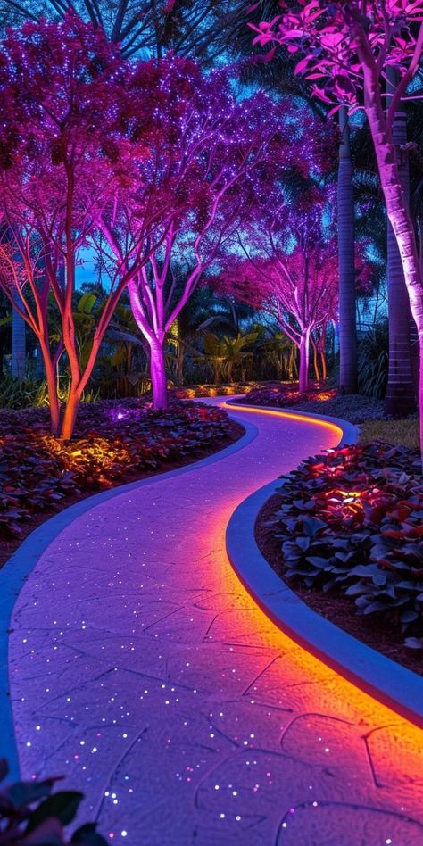 Curb Appeal On A Budget, Front Yard Lighting, Yard Lighting, Awesome Pictures, Pretty Landscapes, Beautiful Wallpapers Backgrounds, Amazing Diy, Beautiful Nature Wallpaper, Futurism