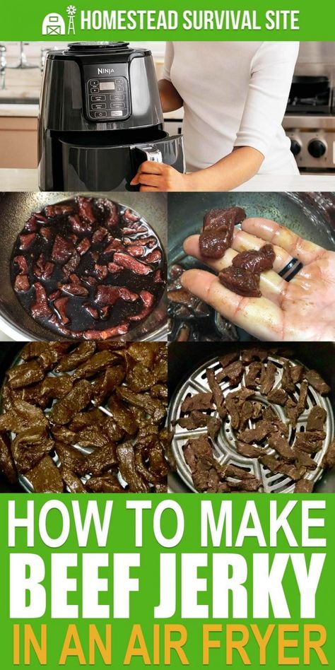 How to Make Beef Jerky in an Air Fryer - Homestead Survival Site Make Beef Jerky, Homemade Beef Jerky, Ninja Air Fryer, Air Fryer Recipes Breakfast, Air Fryer Review, Recipes Fish, Beef Jerky Recipes, Cooks Air Fryer, Jerky Recipes