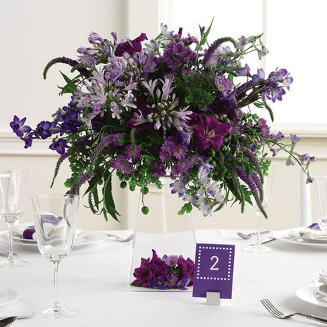 Reception Centerpiece - Purple Lisianthus, Blue Delphinium, Purple Veronica, Purple 'Monte Cassino' Asters, Purple Gladiolus, China Berry, Green Trachelium, Lavender Agapanthus Delphinium Purple, Purple Veronica, Purple Gladiolus, Topiary Wedding, Wedding Pantone, Centerpiece Purple, Purple Lisianthus, Purple Wedding Centerpieces, Beach Wedding Decorations Reception