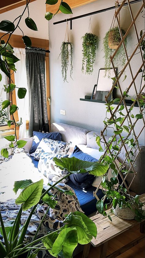 Plants Master Bed, Plant Shelves Above Bed, Plants Above Headboard, Hanging Plants Above Bed, Blue Room With Plants, Blue Bedroom With Plants, Plant Shelf Over Bed, Plants Over Bed, Plants Above Bed