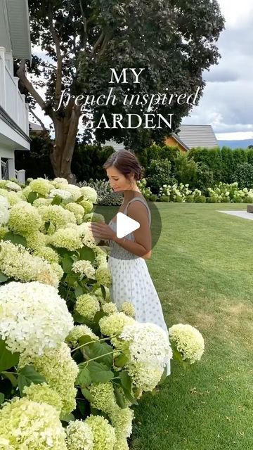 Sabrina Zilberbrand on Instagram: "My French-Inspired Garden!🌹

I'm sharing all the details on our landscaping and the varieties of plants we used to create this “French garden” oasis  It’s on the blog - head to the link in bio to read all about it! 

🌳🌳 Repost from @fraicheliving
• 🌳🌳

#frenchgarden #landscaping #peonies #gardening #flowers #garden #topiaries" French Garden Front Yard, French Courtyard Garden Ideas, European Backyard Ideas, French Country Garden Patio, French Garden Ideas, French Country Landscaping, French Cottage Garden, French Courtyard, French Garden Design