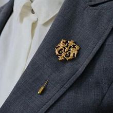 Lapel Pins Suit, Chain Brooch, Dragon Shield, Chaleco Casual, Men's Brooch, Suit Pin, Gold Jewellry, Suit Shirt, Brooch Men