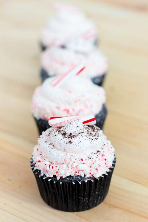 Candy Cane Oreo Cupcakes | The JavaCupcake Blog http://javacupcake.com Peppermint Mocha Cupcakes, Drizzle Recipe, Buttermilk Frosting, Chocolate Peppermint Cupcakes, Peppermint Cupcakes, Christmas Cupcakes Recipes, Sprinkles Cupcakes, Peppermint Recipes, Mocha Cupcakes