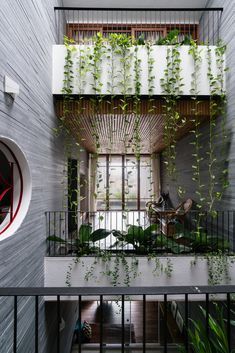 Nha Pho, Courtyard Design, Narrow House, Street House, Green Architecture, Interior Garden, Traditional Architecture, Facade Architecture, Apartment Building