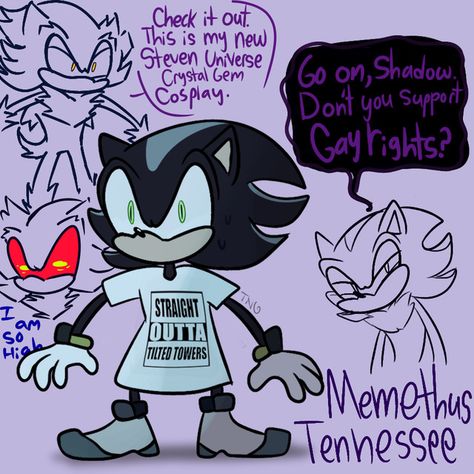 Hedgehog Meme, Missing My Wife, Gay Rights, Sonic Funny, Sonic Franchise, Sonic 3, Hedgehog Art, Sonic And Shadow, Sonic Fan Art