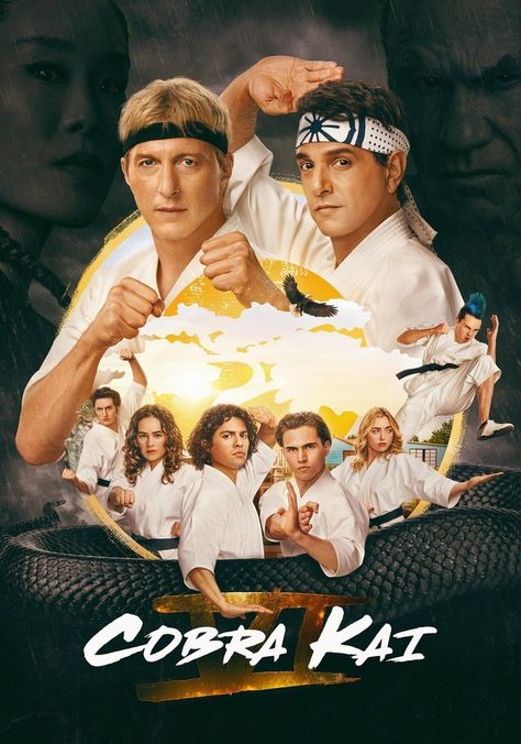 Cobra Kai Season 6 Full Episodes Download In Hindi & English In 1080p, 720p Hdhub4u Check more at https://hdhub4u.ai/cobra-kai-season-6-full-episodes-download-in-hindi-english/ William Zabka, Channel Strips, Karate Kid Cobra Kai, Movie Info, Old Fan, Big Battle, Kid Cobra, Family Show, Tv Animation