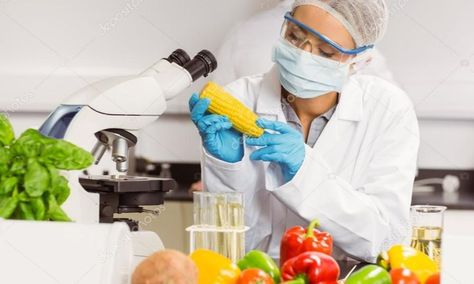 Food Sampling, Food Safety Training, Canada Food, Safety Management System, Food Technology, Food Scientist, Hygienic Food, Corn On Cob, Food Science