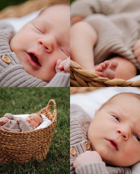 A few of my favorites from this adorable outdoor newborn session in Jax, FL by Newborn Pics Outside, Outdoor Newborn Pictures, Newborn Family Photos Outside, Newborn Photography Outside, 6 Week Old Baby Photography, Newborn Shoot Outdoor, Newborn Outside Photoshoot, Newborn Photos Outside, Lifestyle Newborn Photography Outdoor