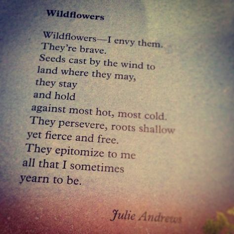 Wildflowers - Julie Andrews. "They epitomize to me all that I sometimes year to be." Wild Flower Quotes, Julie Andrews, Flower Quotes, Wonderful Words, Lyric Quotes, Poetry Quotes, Pretty Words, Beautiful Quotes, Beautiful Words