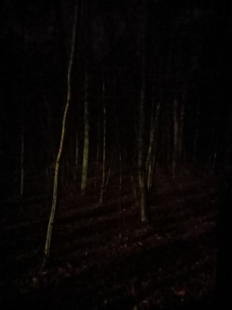 Woods Horror Aesthetic, Unsettling Forest, Woods Aesthetic Dark, Scary Forest Aesthetic, Forest Night Aesthetic, Haunted Forest Aesthetic, Creepy Forest Aesthetic, Night Walk Aesthetic, Strange Artwork